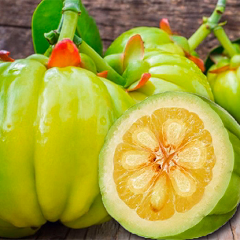Garcinia-Cambogia